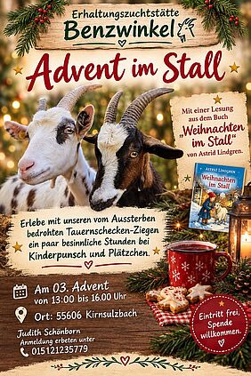 Plakat Advent im Stall