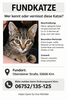Fundkatze