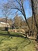 Enten auf Schülerkiesel