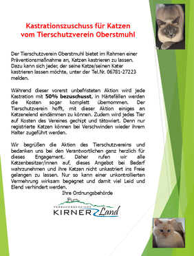 Infoblatt Kastrationszuschuss für Katzen