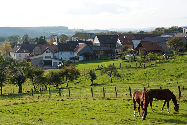 Blick auf eine Pferdekoppel mit Horbach im Hintergrund