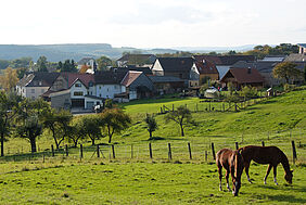 Blick auf eine Pferdekoppel mit Horbach im Hintergrund