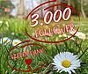 Blumenwiese mit Texthinweis 3.000 Follower