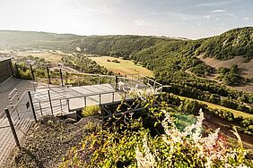 Blick auf den Nahe-Skywalk in St. Johannisberg